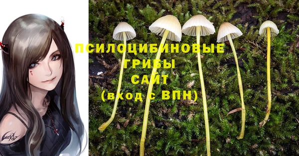 крисы Алексин