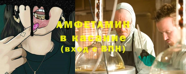 крисы Алексин