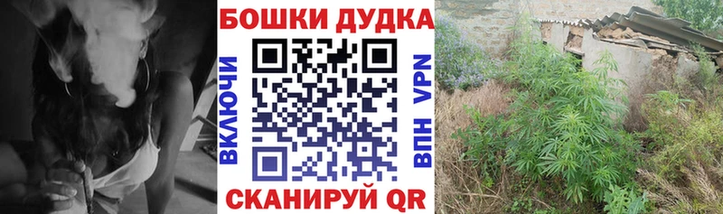Конопля LSD WEED Бабушкин